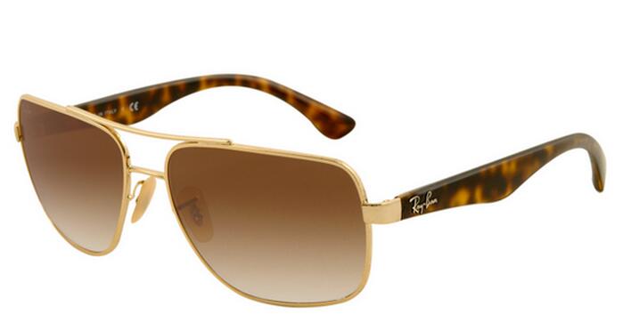 RayBan Sunglasses-003