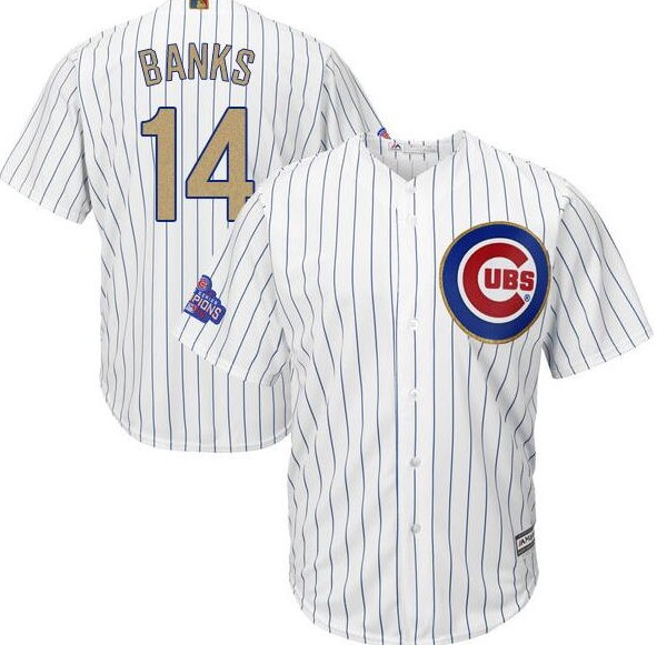 2017 Chicago Cubs 14 Ernie Banks Gold Program White Cool men Baseball Jerseys