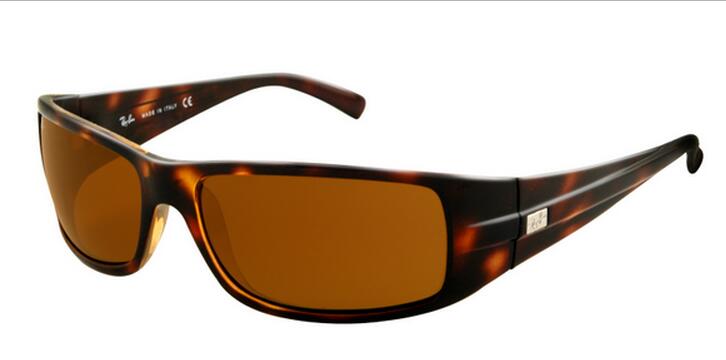 RayBan Sunglasses-018