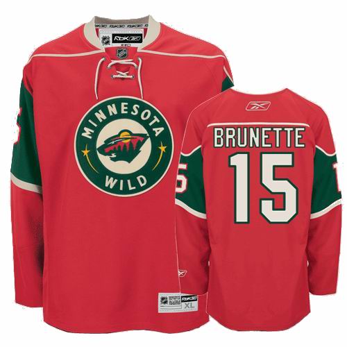 Minnesota Wild 15 BRUNETTE HAVLAT red men nhl ice hockey  jerseys