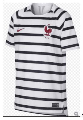 Nike France Pre-Match Jersey 2018-19